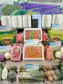 首届金昌农产品展览会圆满落幕 初加工食用农产品引领农业新风向