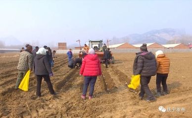 种地也能发财！抚宁人靠食用农产品初加工走稳致富路