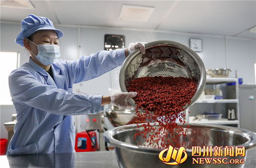 广安乡村微工厂 富硒食品生产忙，点燃乡村振兴新引擎